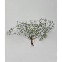 Crengute decorative albite