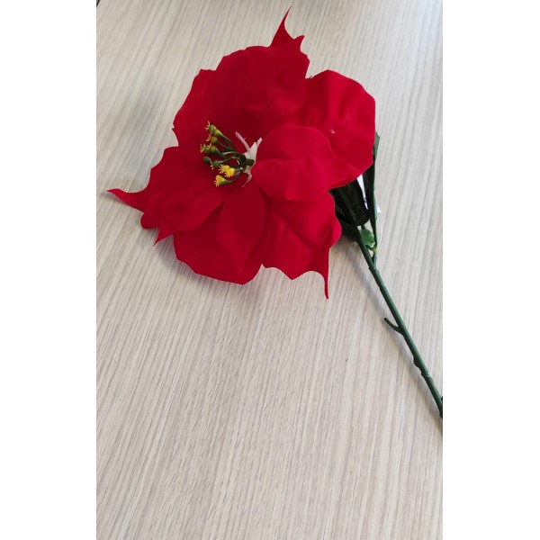 Crăciuniță roșie 65cm