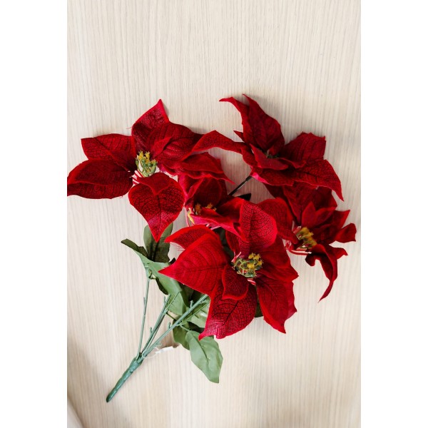 Crăciunițe bordo la buchet 50cm