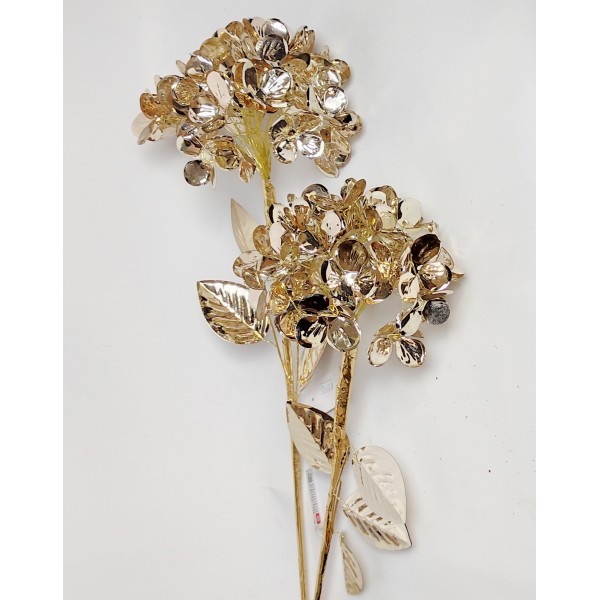 Hortensia aurie 20/60cm