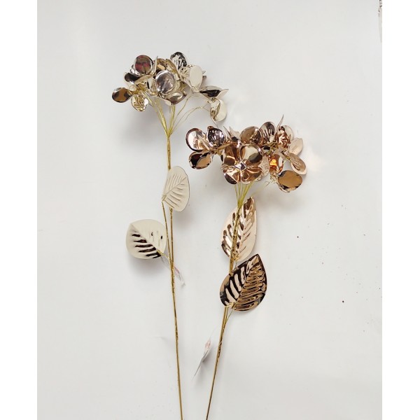 Hortensia aurie 12/60cm
