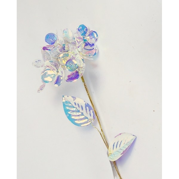 Hortensia curcubeu 12/60cm