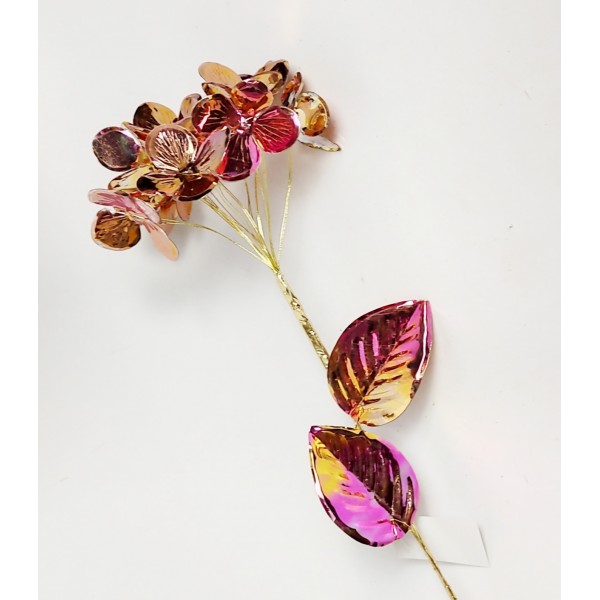Hortensia roze gold 12/60cm