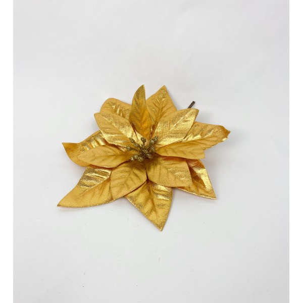 Craciunita aurie 18cm