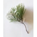 Crenguțe cu zapada 20cm